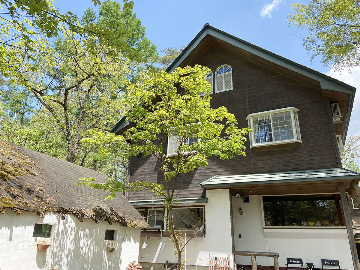 �E�y�O�ρE�āz�ΖL���Ȗ؁X�Ɉ͂܂ꂽ�y���V�����@���@�X�e�J�ւ悤����