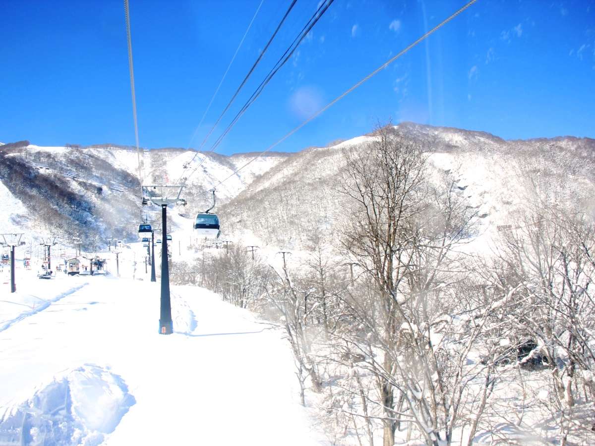 łw̃pE_[Xm[VAnܗXL[BقANZXQłI