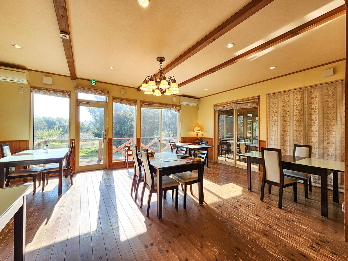 #_CjO@傫ȑJIȃ_CjOB[HHƂɂłオ肢܂