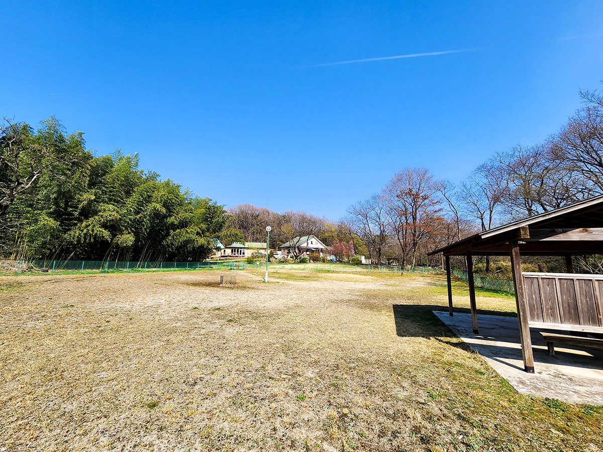 #hbN@550؂̍LȃhbNBƂVł܂