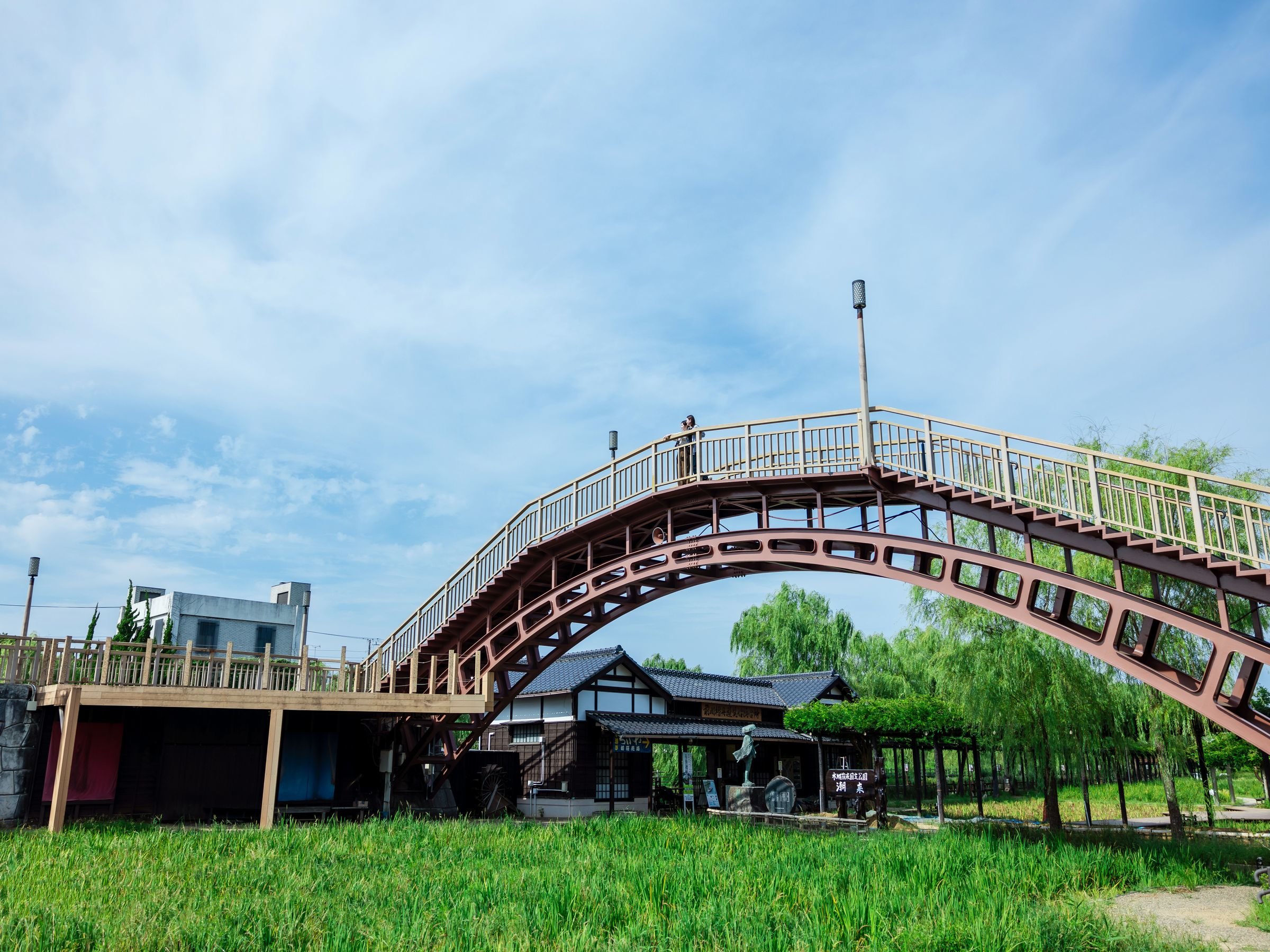 ������������߉�