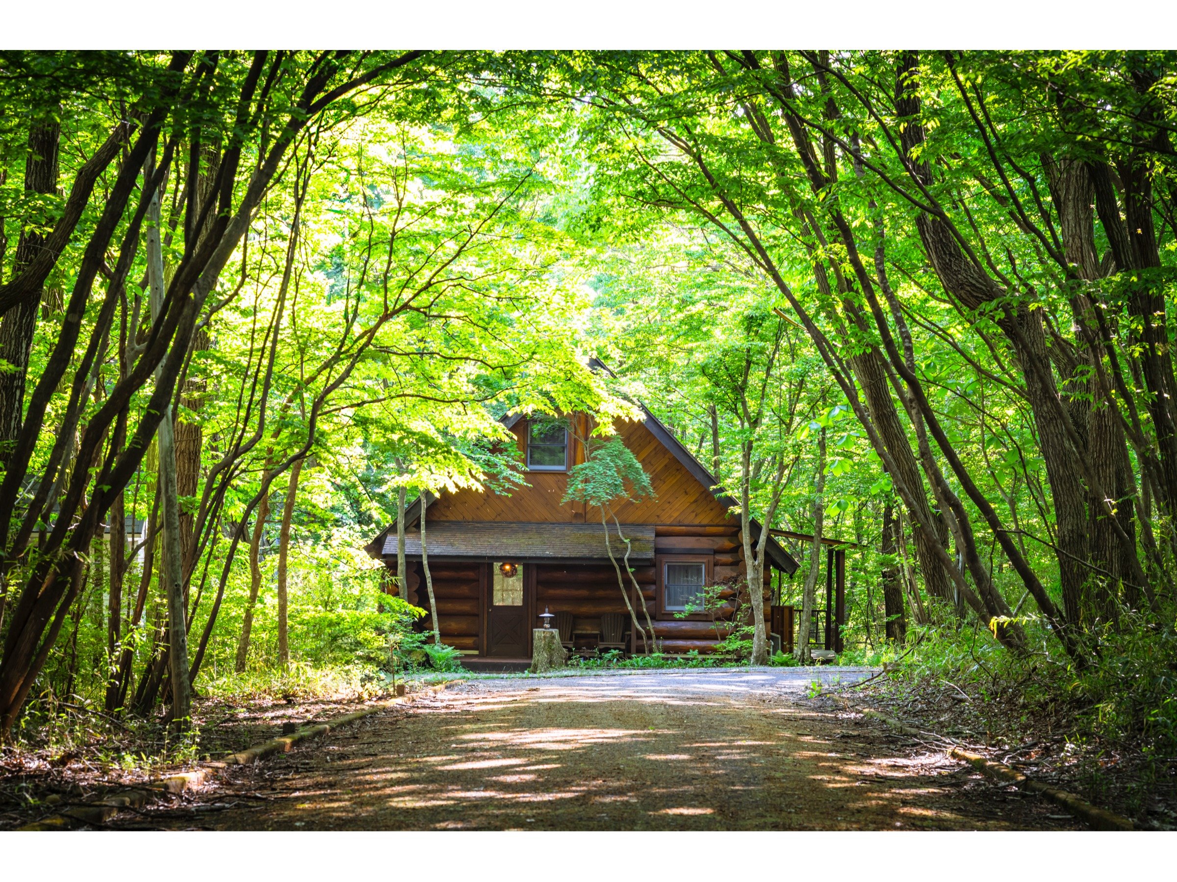 �؁X�̃g���l���̐�ɘȂށy�J�i�f�B�A�����b�h�z�B���R�ɕ�܂ꂽ�B��ƂŁA�����̂ЂƂƂ����B