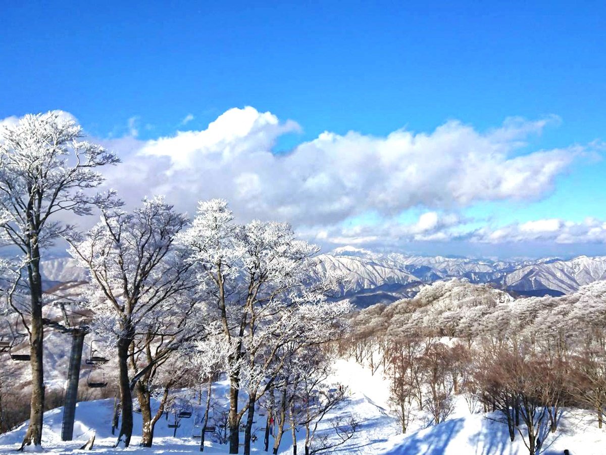 *�y�O�����X�m�[���ɐ��z���ق���Ԃ�30����