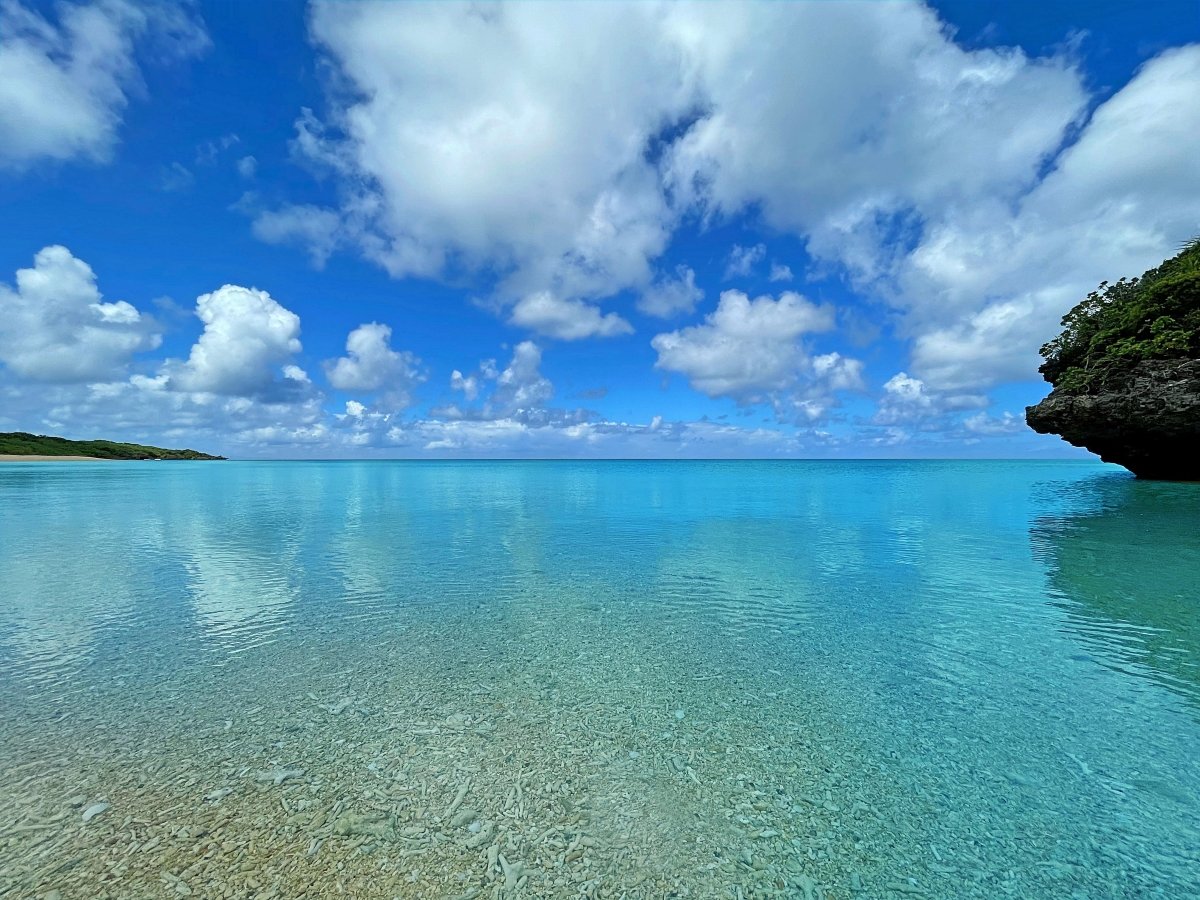 �����{���w�̓����x���ւ�u�Ί_�u���[�v�̊C