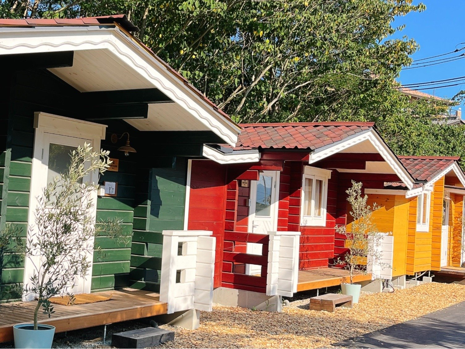 �R�������̃��O�L���r��