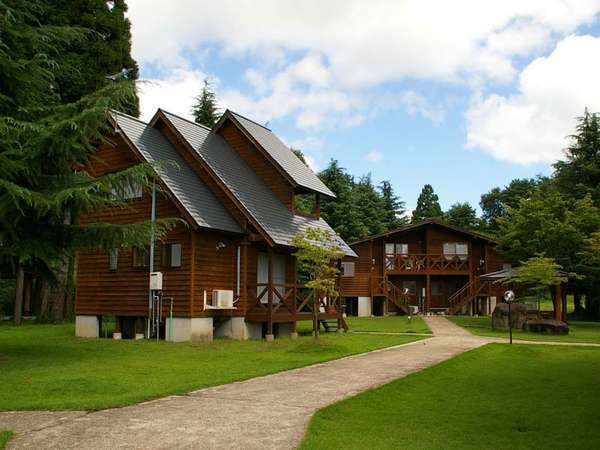 ���R�Ɉ͂܂ꂽ�{�i�I�ȃv�����x�[�g�R�e�[�W�B