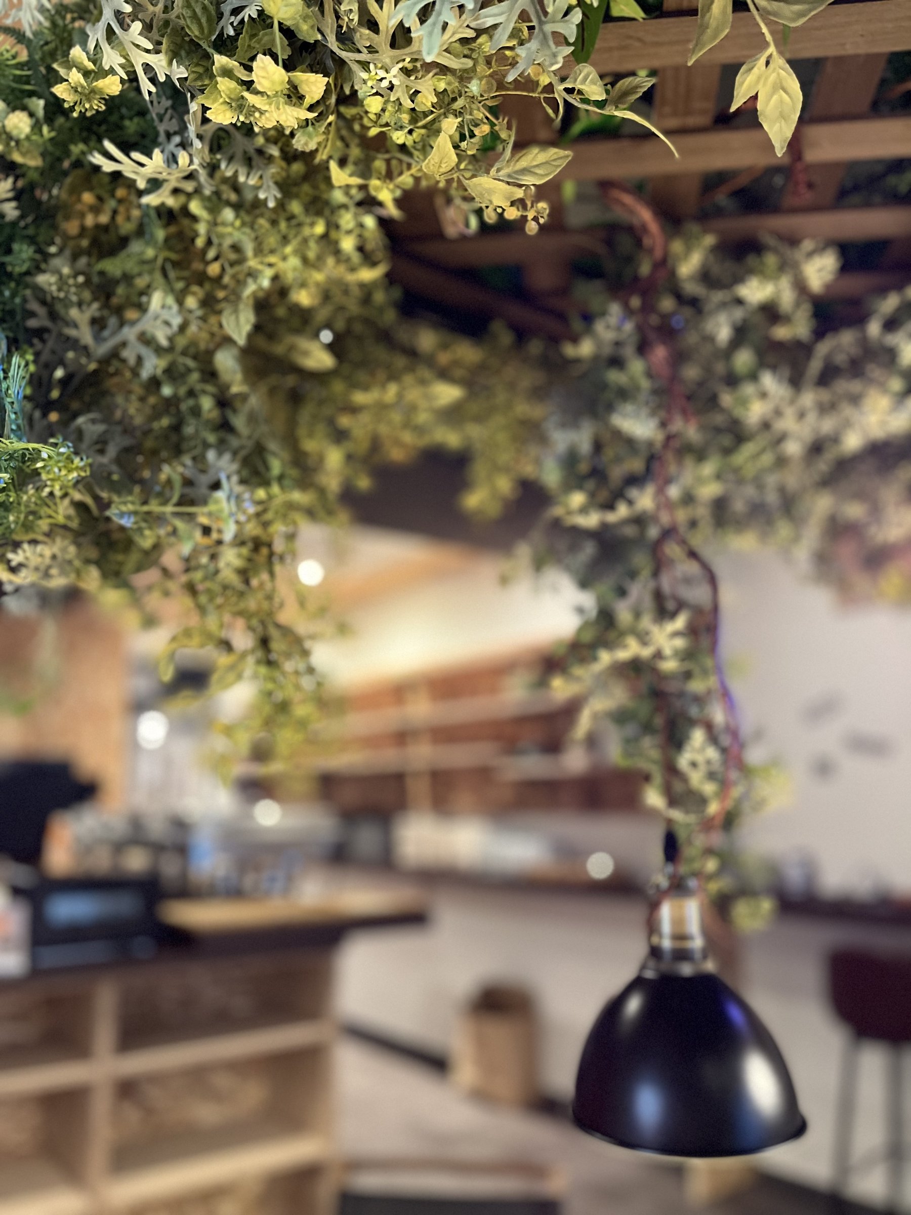 �P�K�J�t�F�i���H���j