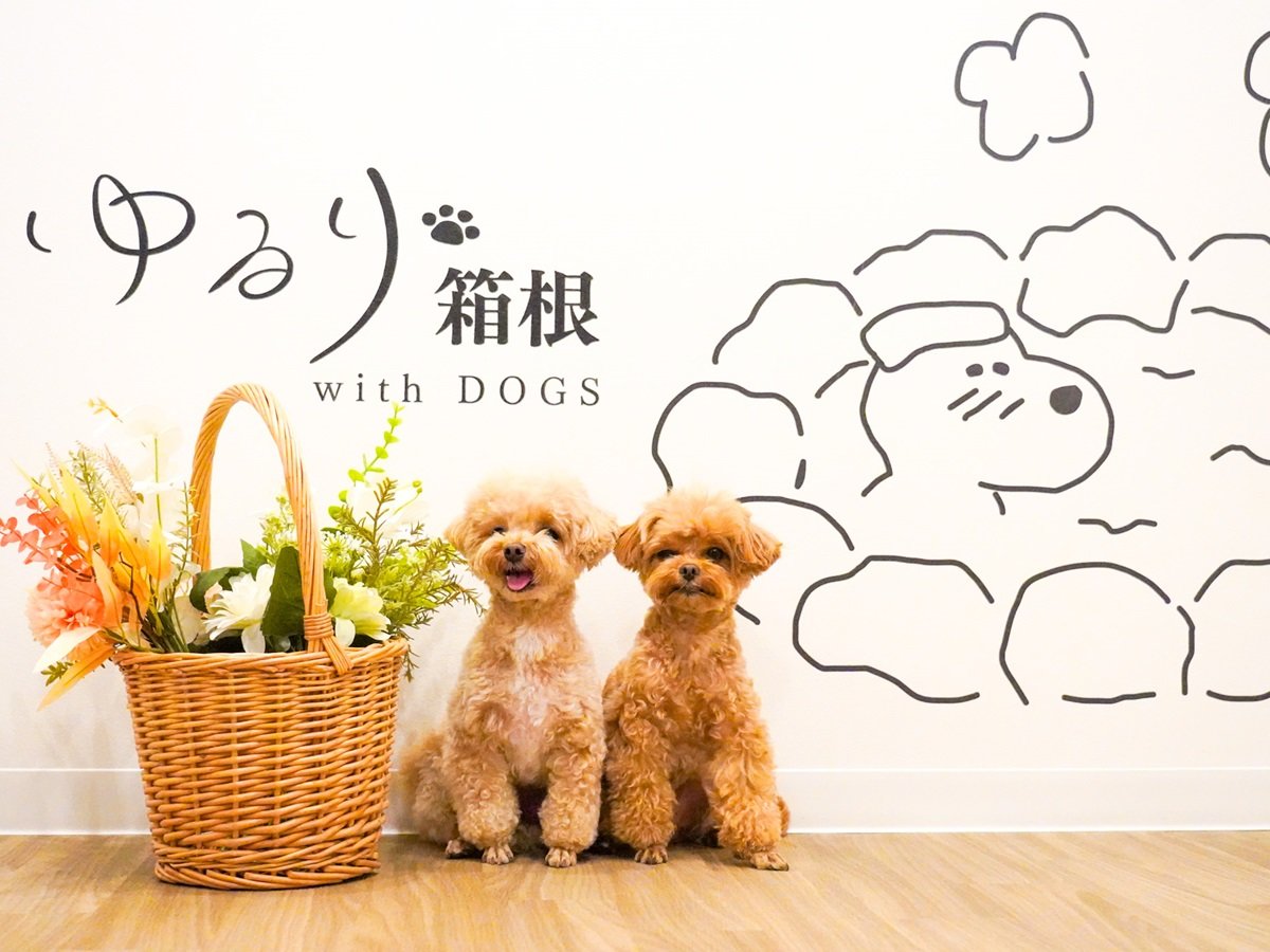 ytHgX^WIzs̋LOɈƈꏏɂB肢܂