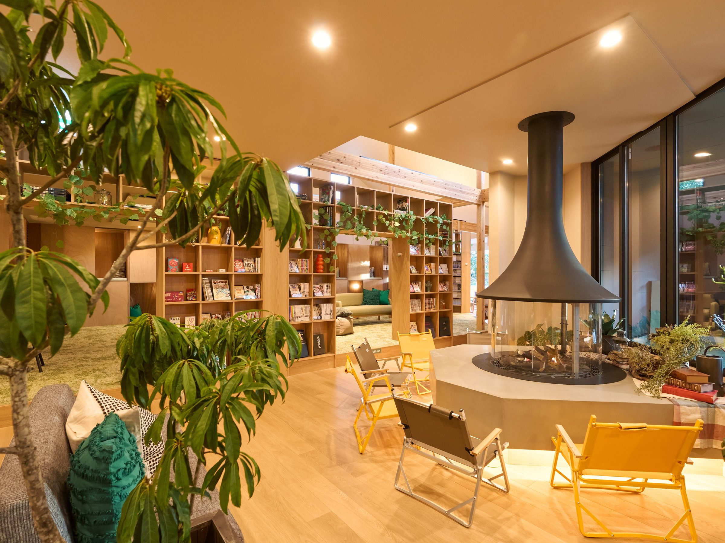 ���˂̓�����