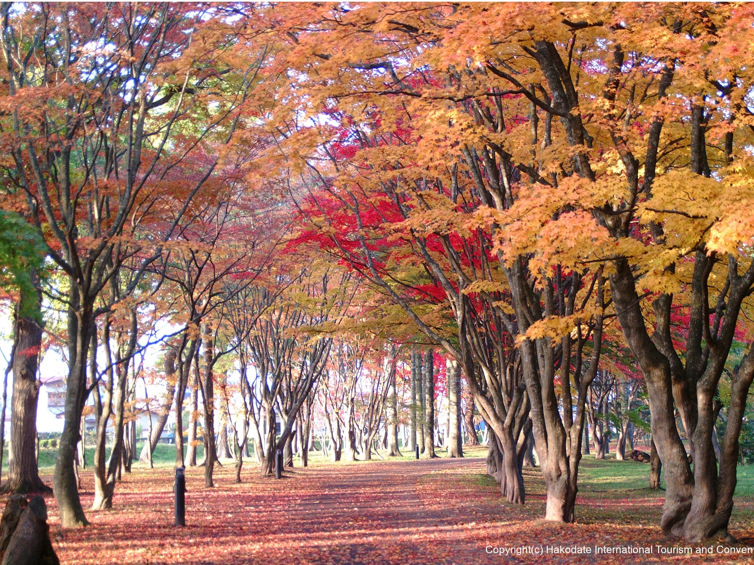 D뉀iቀjE`ԂŖ6ByG]XEKE~~YNEuBz