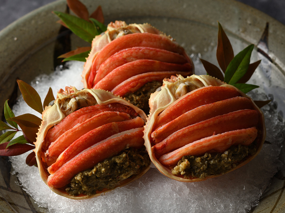 �y�����k�O�K�j-�~������z����������N���A�����ō��i���̎R�`�u�����h�Y���C�K�j�B