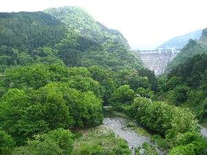 �y�h���C�u�z�����̕��i�@�R�ƃ_���Ɛ��