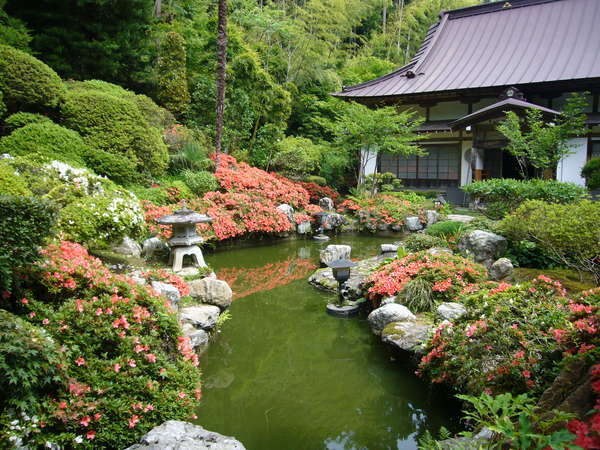 �y�U��z�����D���R�O�ԁE�@�_��