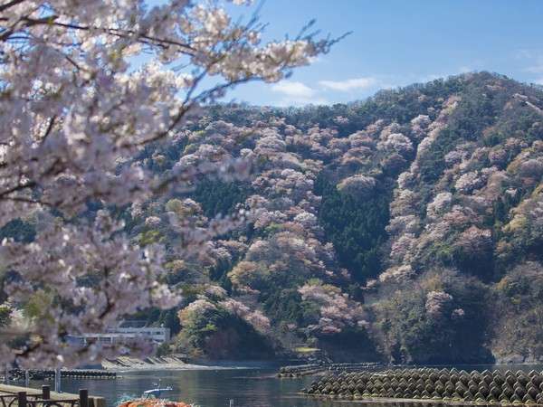 �t�́u�_�q�̎R���v�ɂ����Ƃ肵�܂�(^^�����ق̑O���猩�����i�B