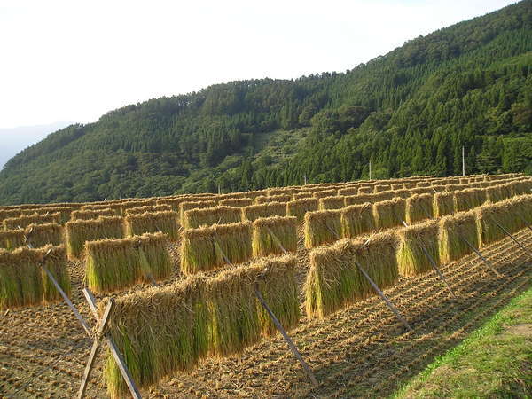 �͂�������