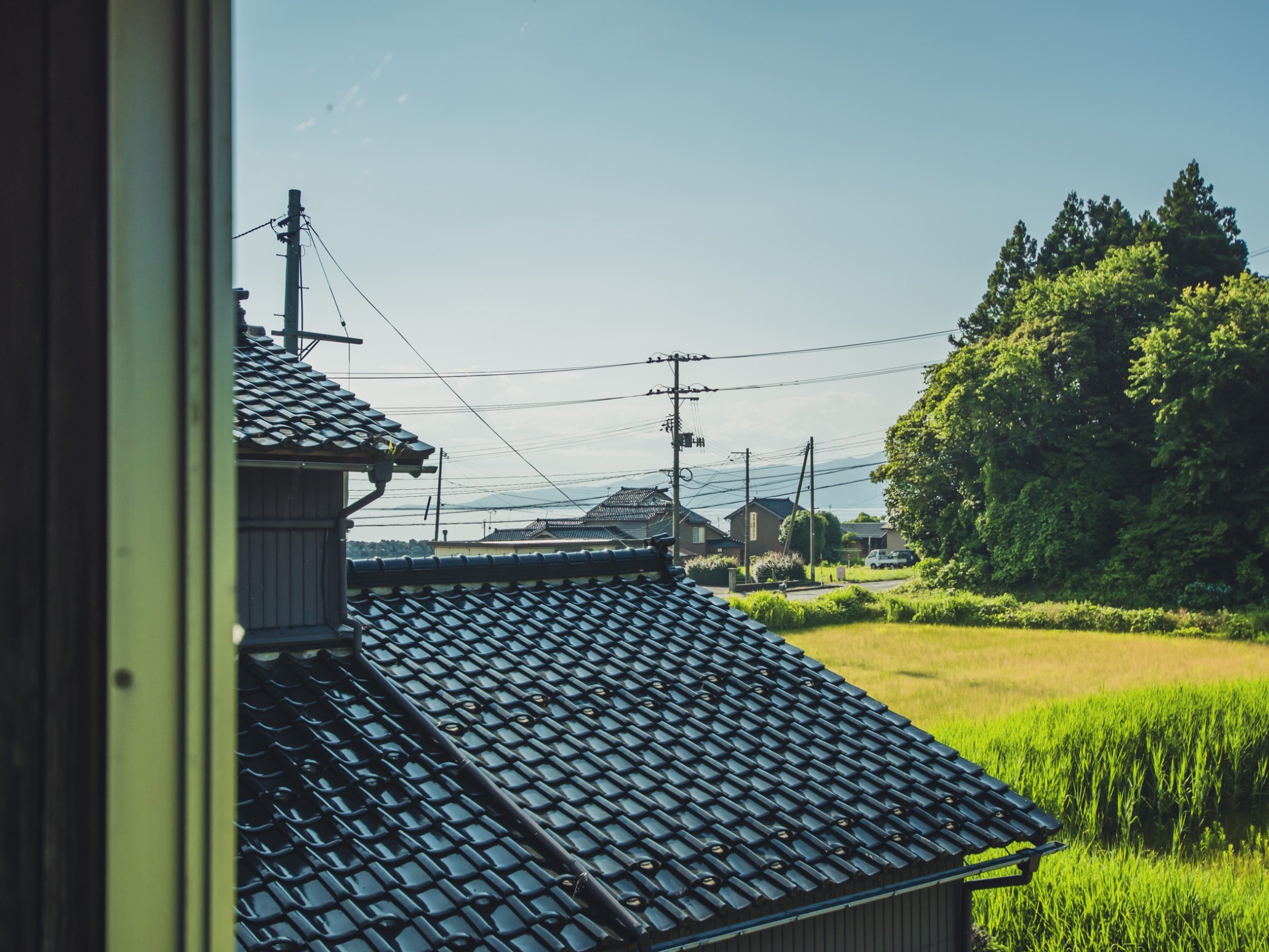 2�K�L������̌i�F