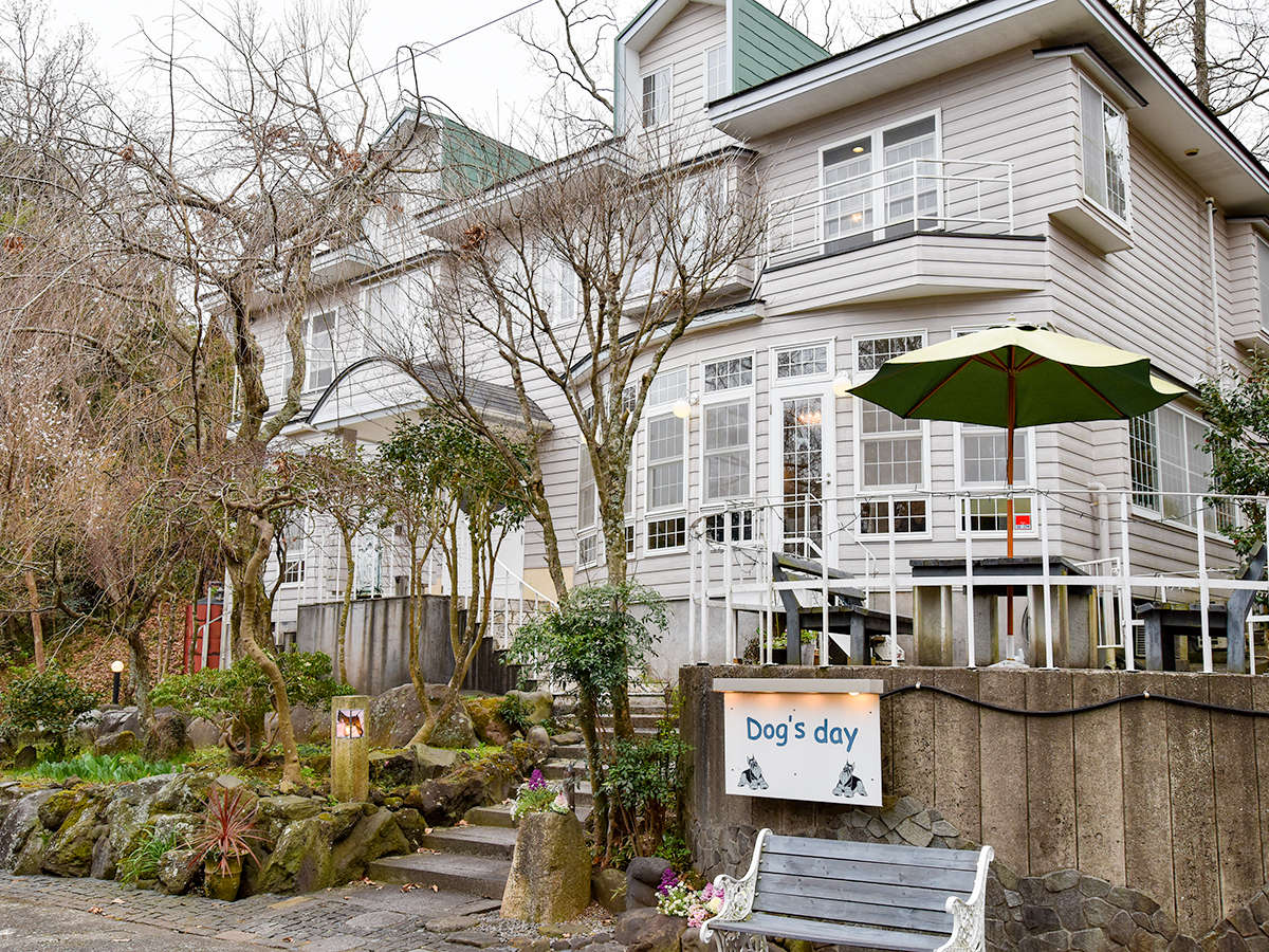 **�y�O�ρz�����A���p�z�e���`Dog�fs day�`�ւ悤������