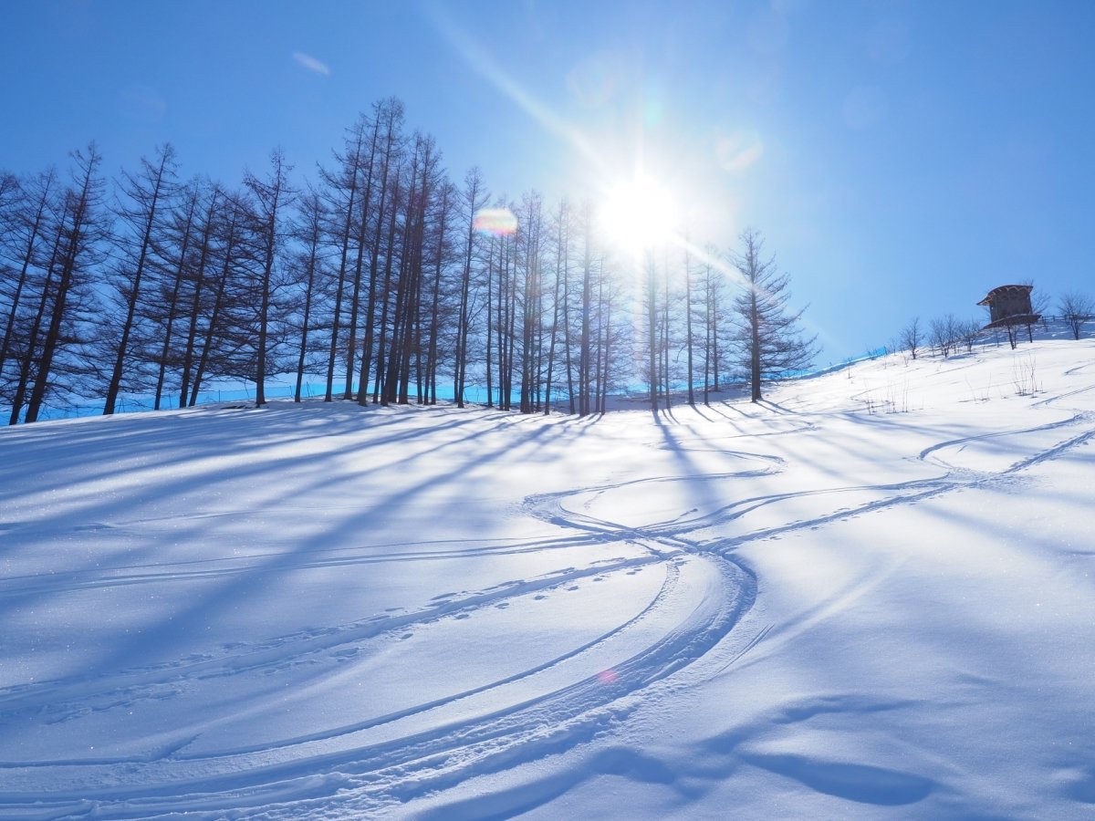 �X�L�[��@�C���[�W