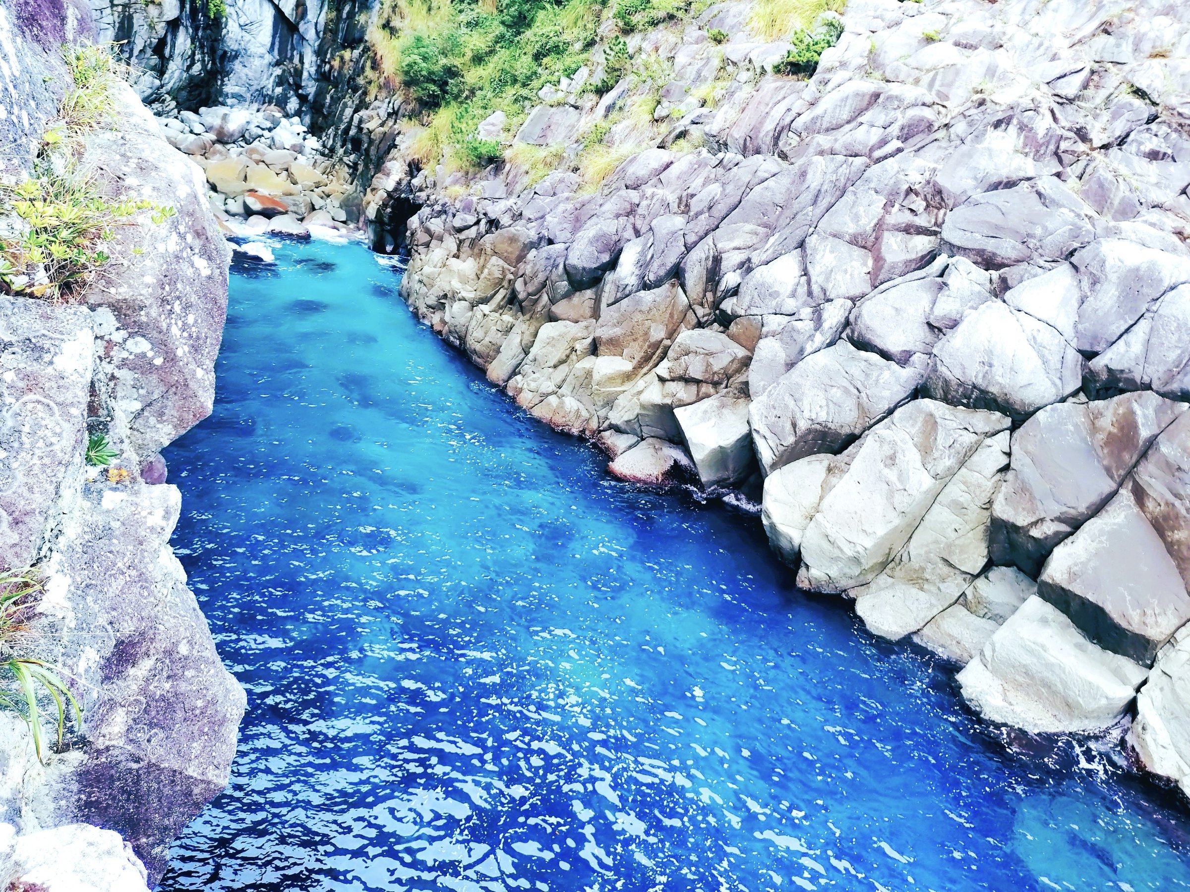 �G�������h�O���[���̊C�I�n�C�I�n�C�u���[�ƌĂ΂�Ă��܂�