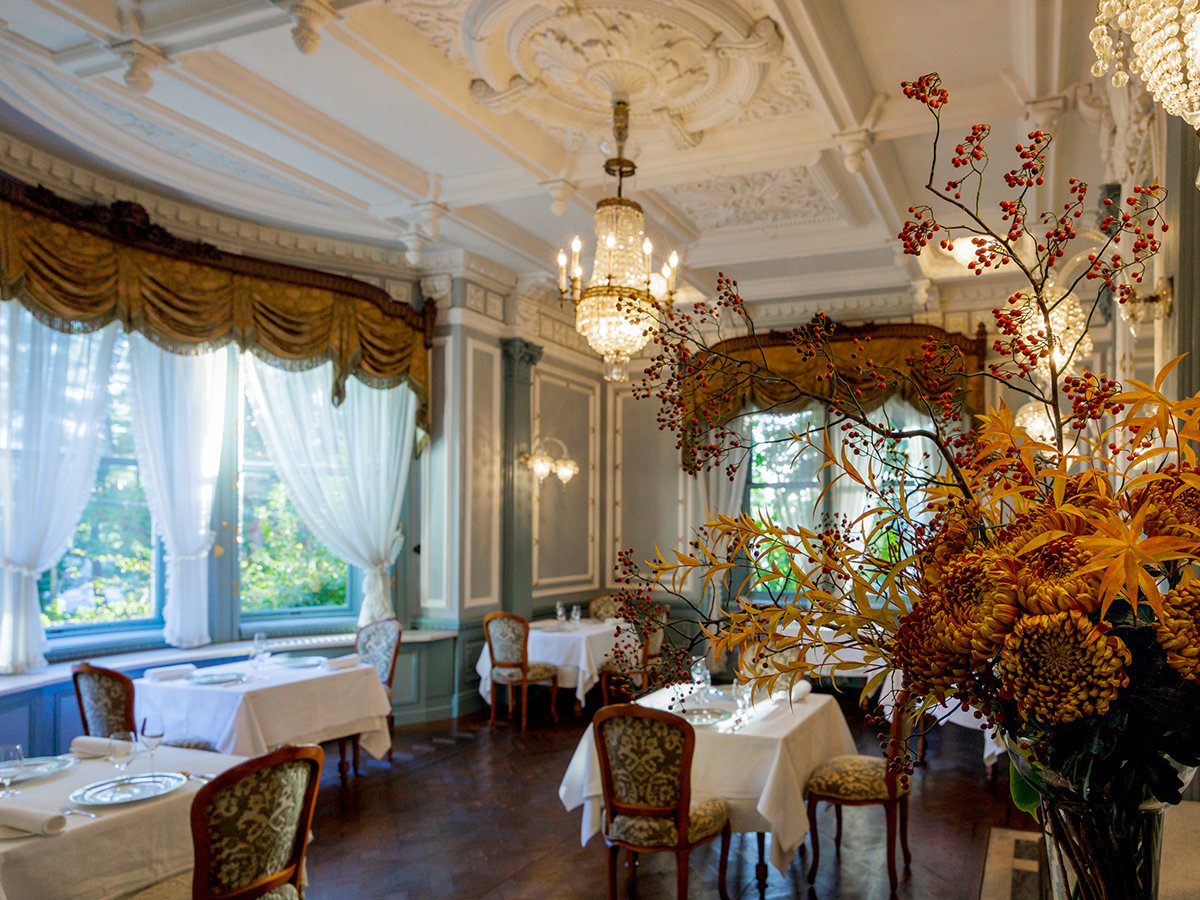 �{��1�K�uLE CHENE�v