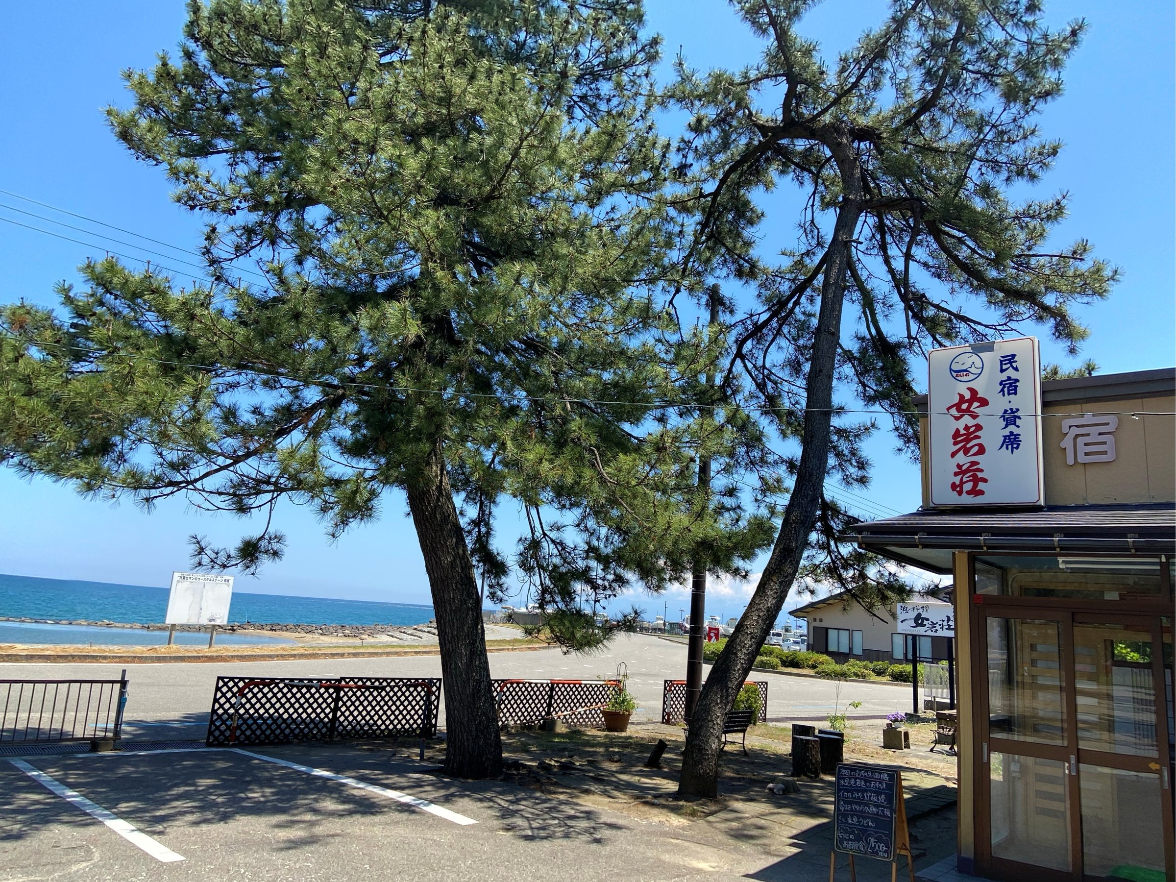 Cӂ̏h