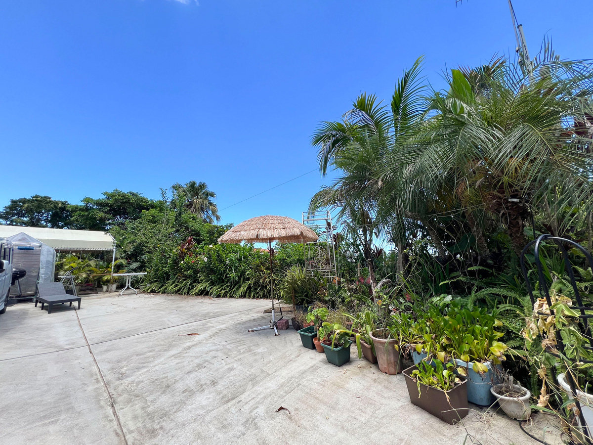 �E�y�K�[�f���zPullmeria GARDEN�ɂ́A���S��ނ̈��M�ѐA�����炫�ւ�܂�