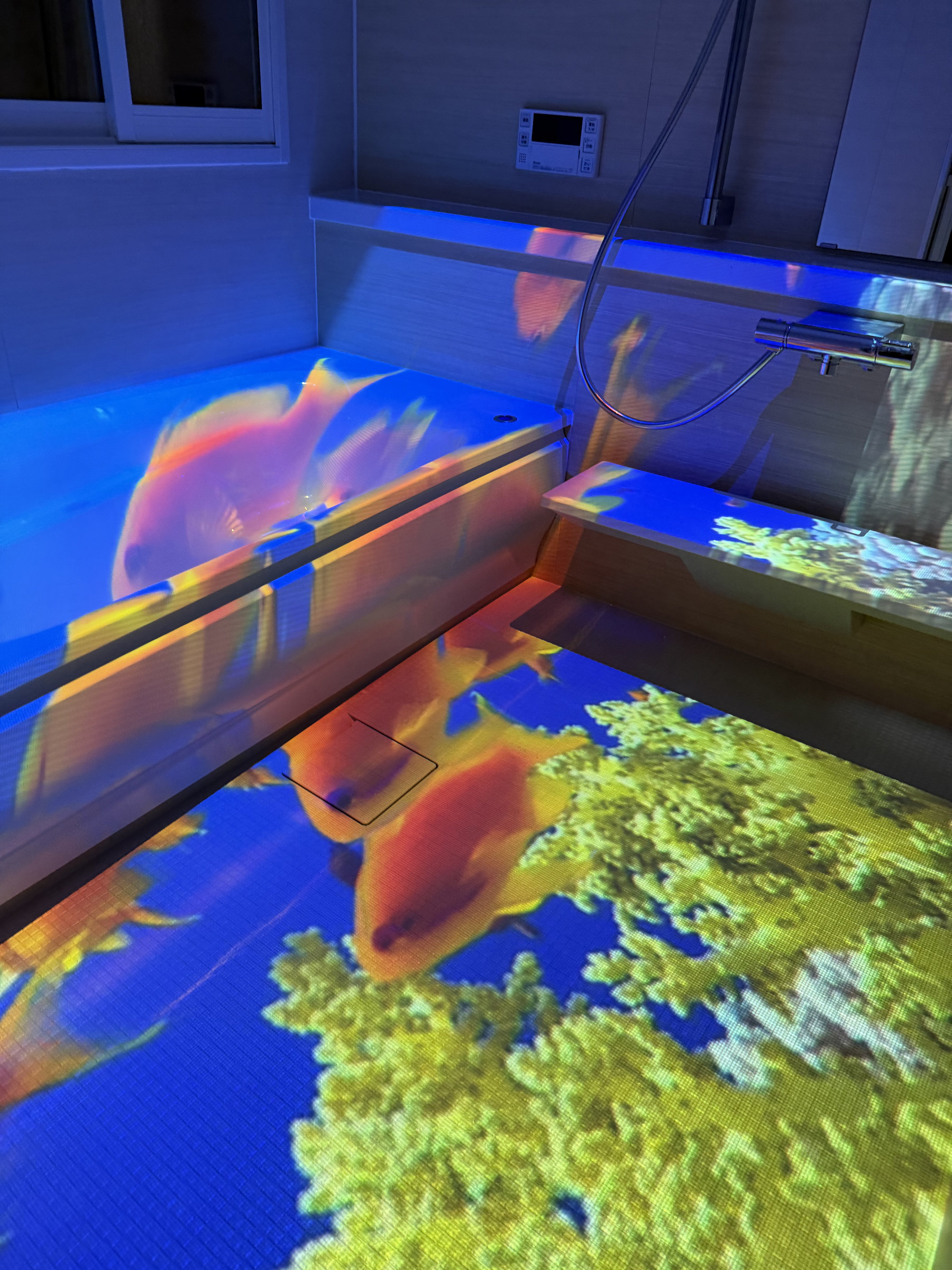 ���E���H���C�W�F�N�V�����}�b�s���O�B