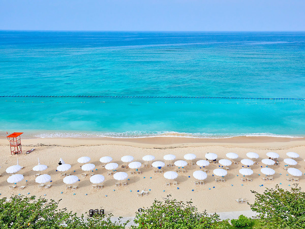 ����{�����w�̓����x���ւ�V�R�̃r�[�` �g�j���C�r�[�`�h