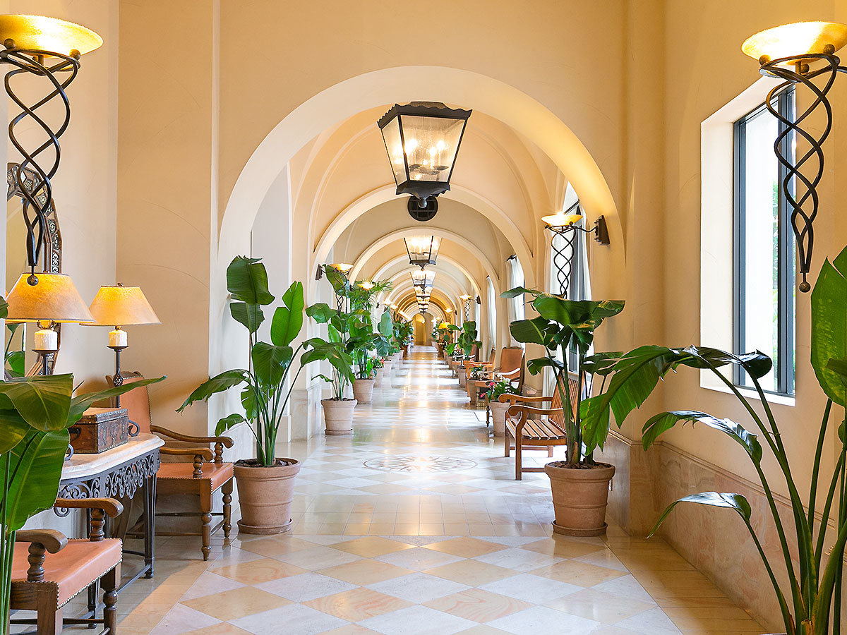 �ق������������ތߌ�̉�L���ٍ��̌����ɖK�ꂽ�C���ł̂�т�U��