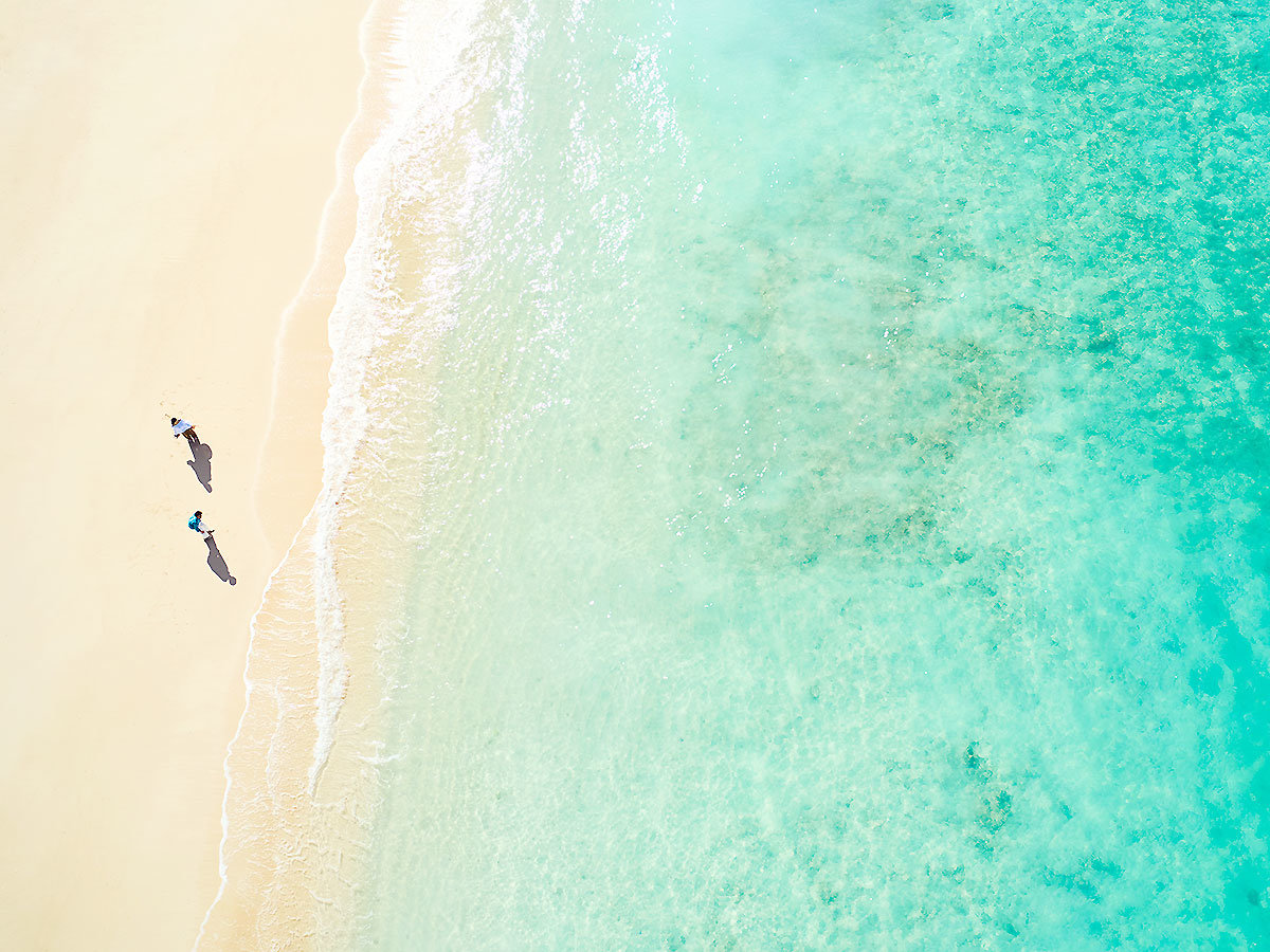 �z�e���ڂ̑O�L����V�R�̃r�[�`�͉���{�����w�̓����x�I