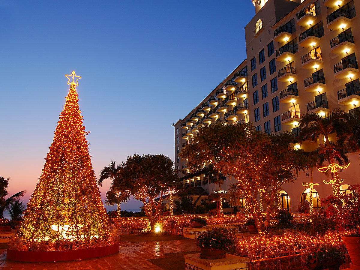 ��̓��̐��Ȃ�G�߁��L�����h���J���[�����߂��������������A�A���r���c���[�ɏo���̂�12/25�܂łł�