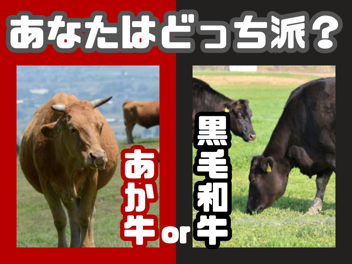 �y�O���[�h�A�b�v�v�����z�I�ׂ鍕�јa���E�������̂�����BBQ�ŁI