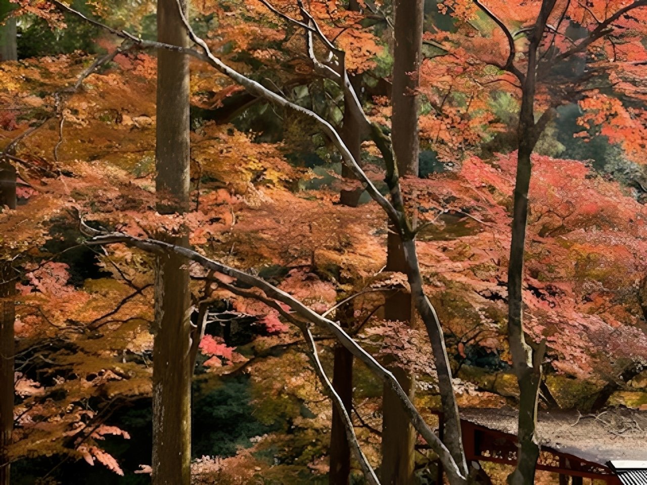 ���Y�̍g�t�i2025�N�B�e�j