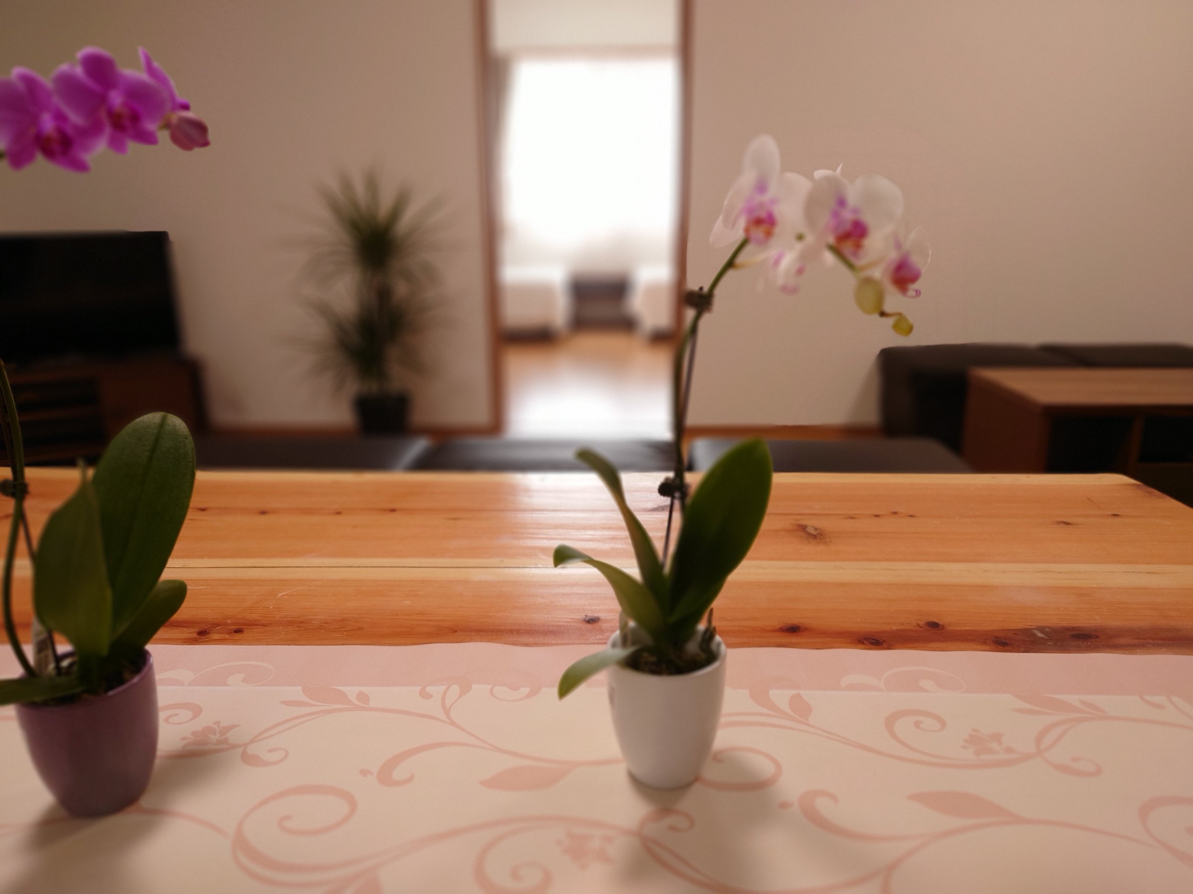 �傫�ȃE�b�h�e�[�u��