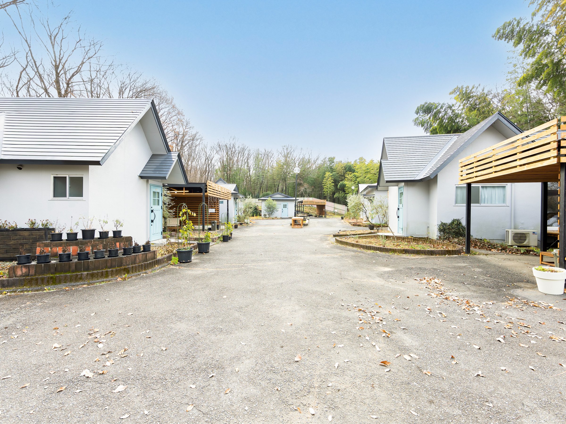 8���̃R�e�[�W������܂��B