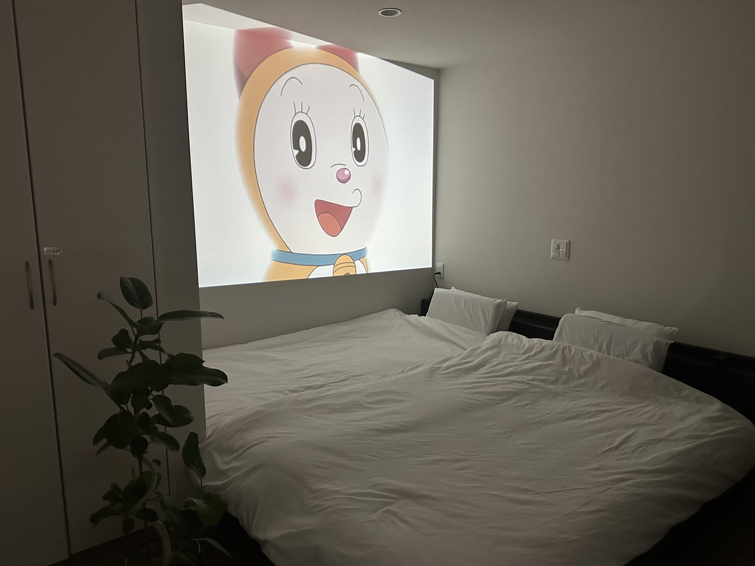 �v���W�F�N�^�[�ݏo��