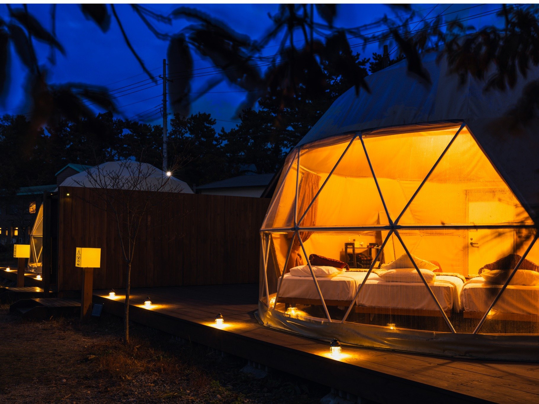 �O�����s���O�Ŕ��i�΂̖�i��