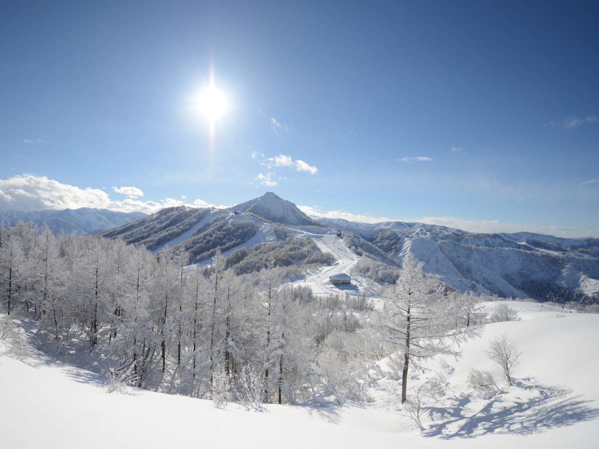 ���{����Ȃ��݂����Ȍi�F�ɏo���͂��I