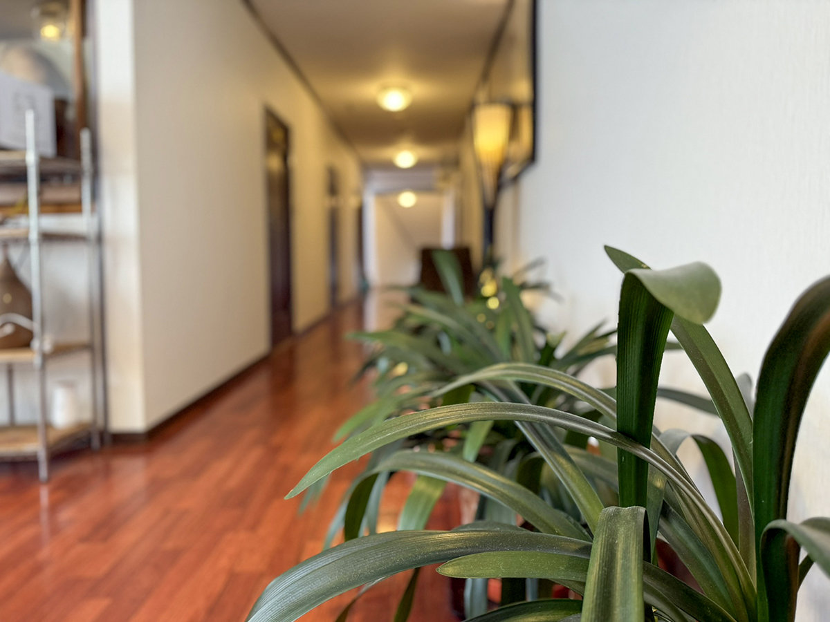 #�{�كC���[�W�@�r�W�l�X�����؍ݑ劽�}�I