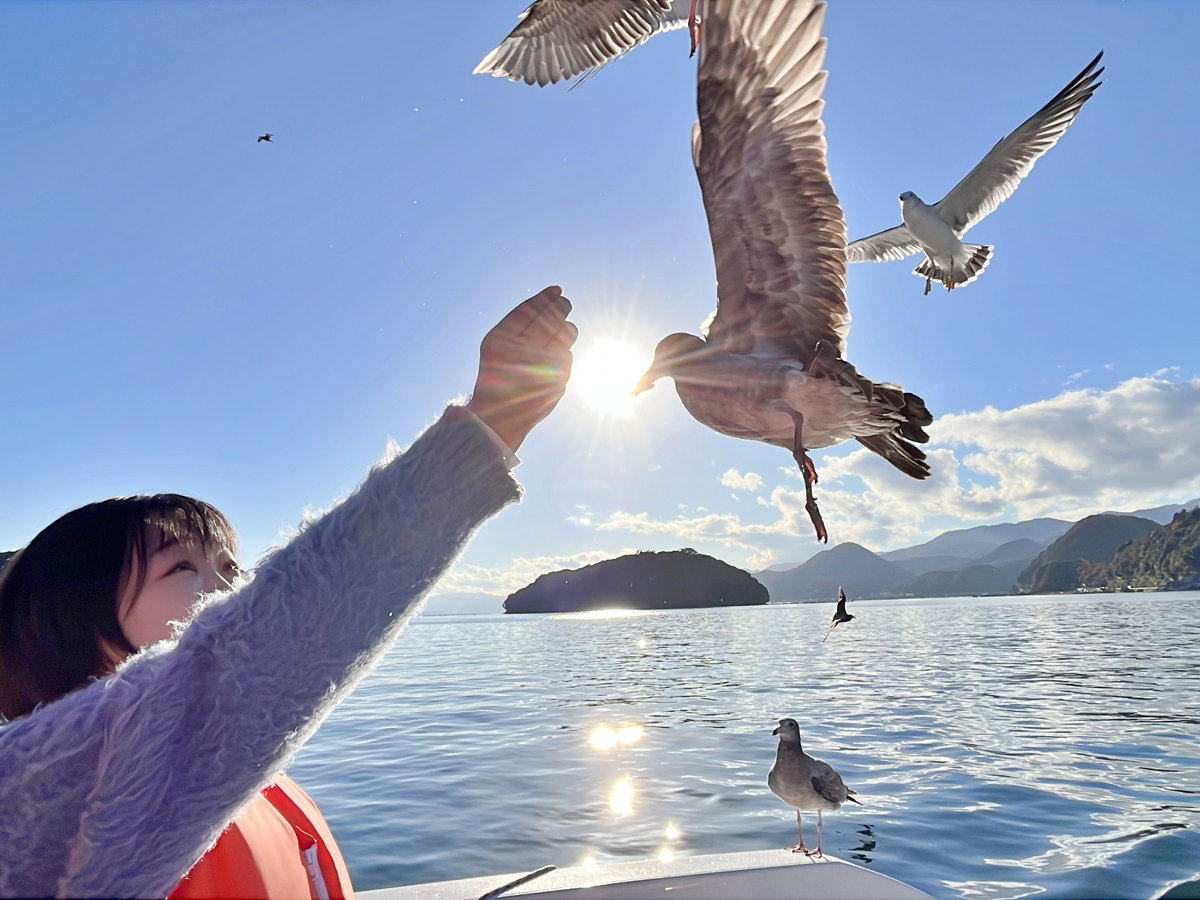 �y���f���z�N���[�W���O