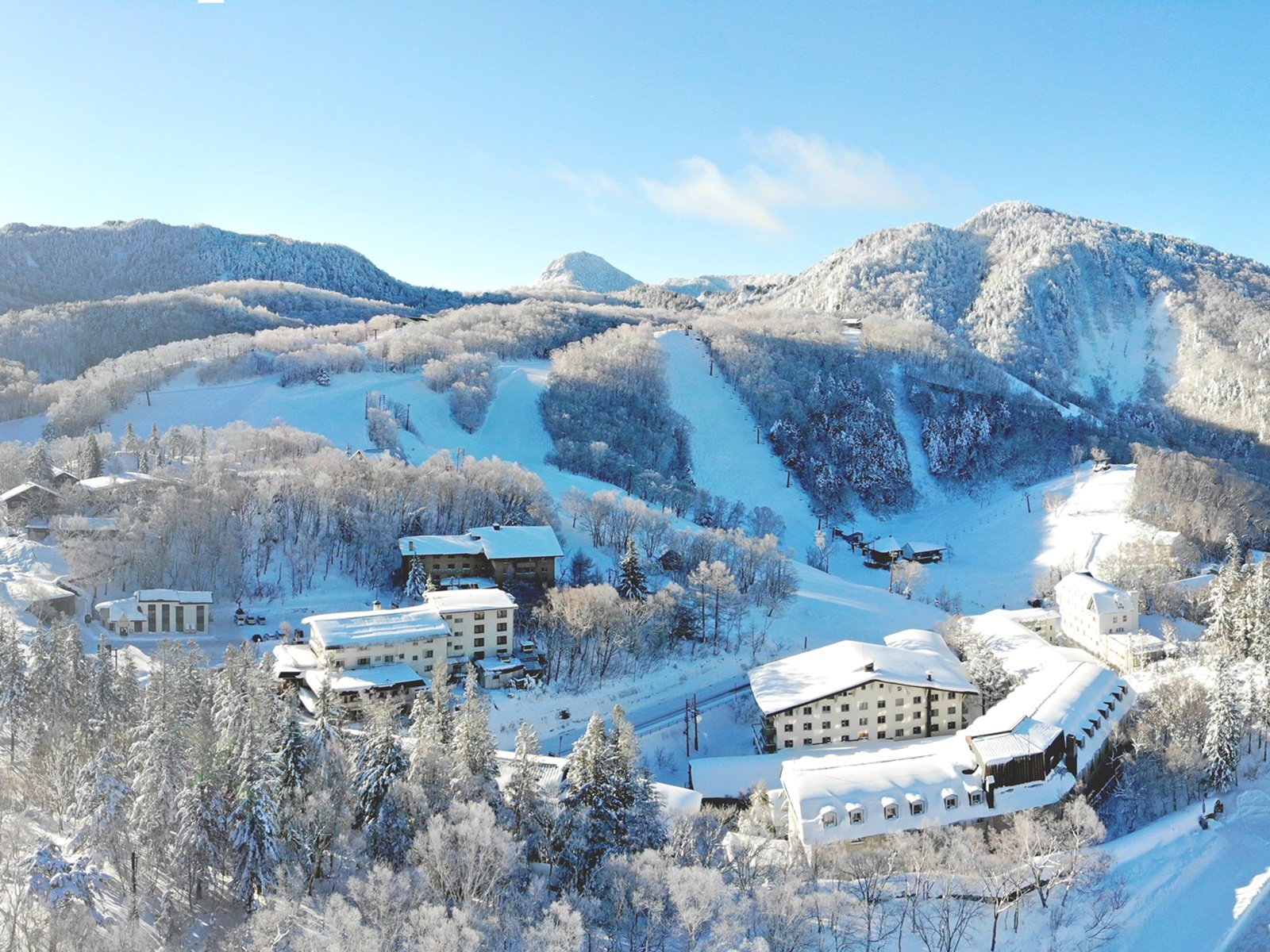 *���َ���/�ےr�E�@�r�X�L�[��ւ͓k��3���̍D���n�I�i��O�̗тɉB��Ă��錚�������قł��j