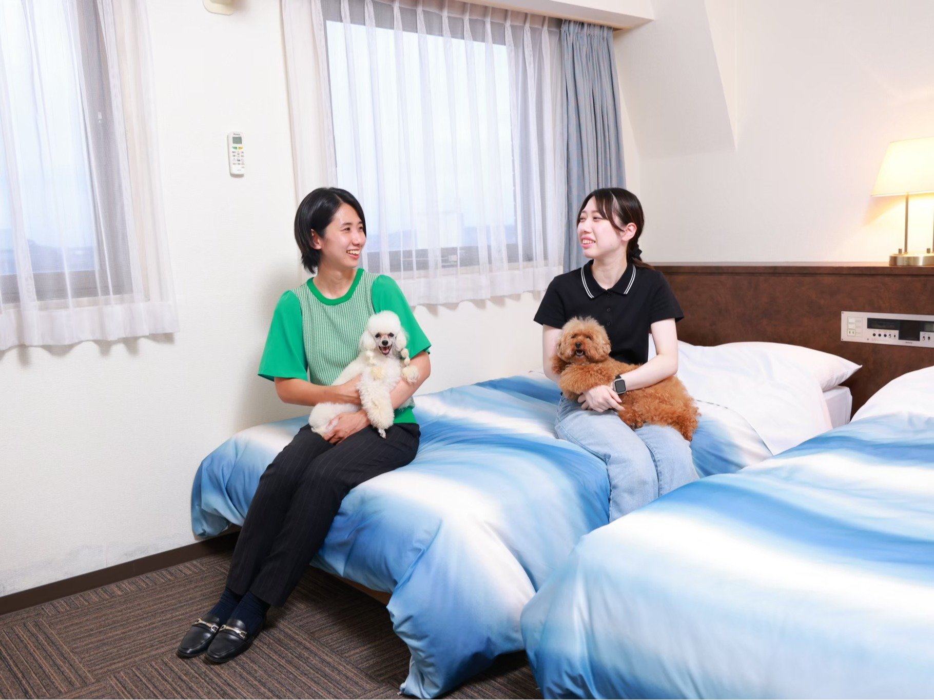  �Ή��ɑ��Â��N���V�b�N�E�h�b�O�X�e�C�B �y�b�g�Ƌ��ɔ��܂��z�e���uHOTEL Dane��Kerry DogResort�v