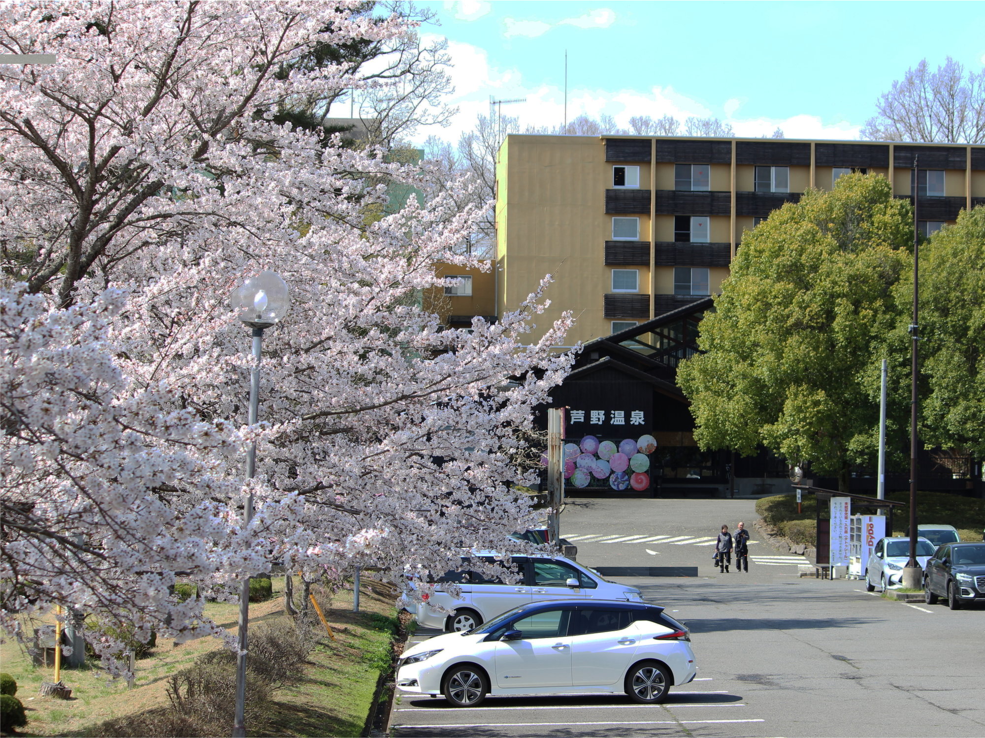 �S���ɂȂ�܂��ƈ���̗��ɏt�����Ƃ���A���A�V�΁A���������̖����ƍō��̋G�߂��}���܂��B