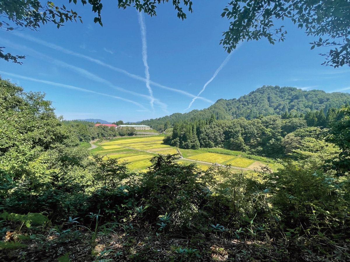 �������u�̏�ɂ���t�@�[���n�E�X�G���A���猩��i�F�͑u���I