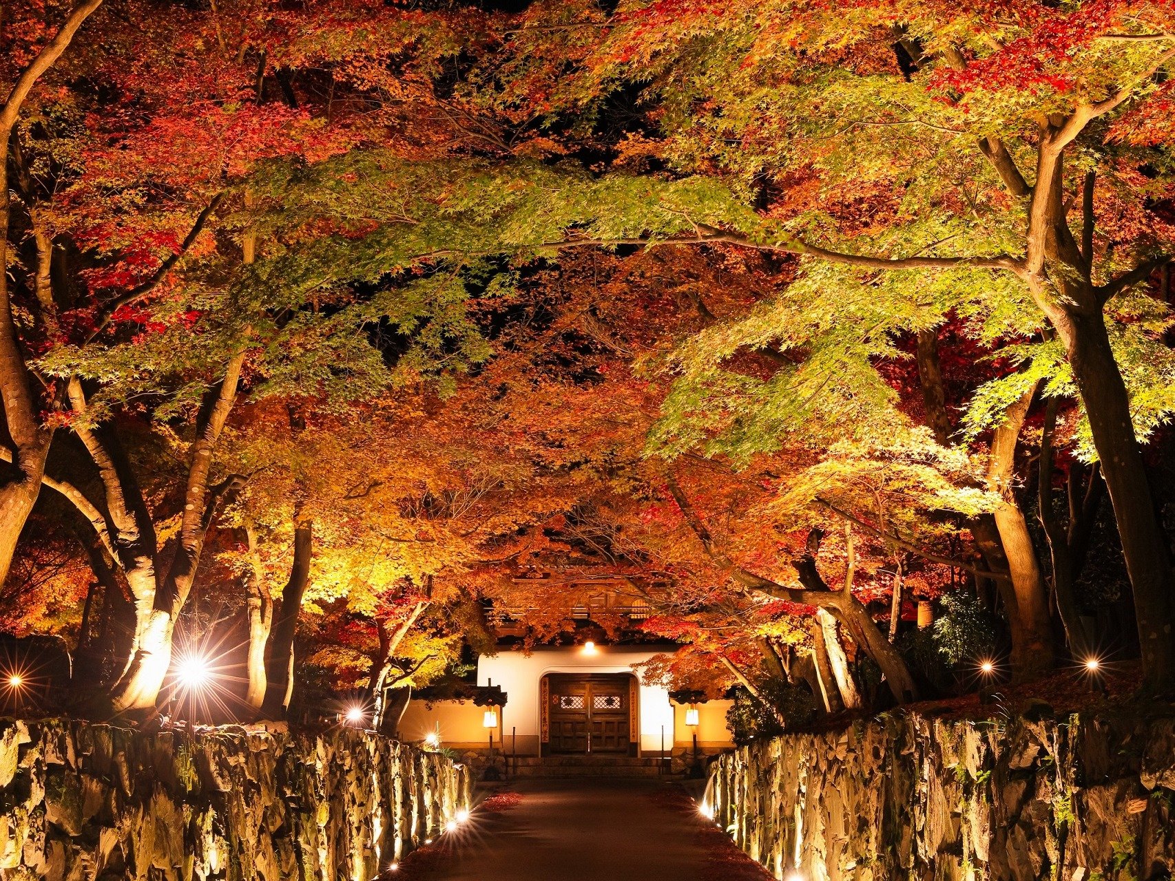 iH̋jՍŗLȑT@E@̎@łB摜̓C[W