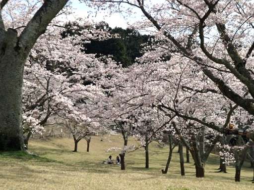 �����U����C�����������ł��ˁI