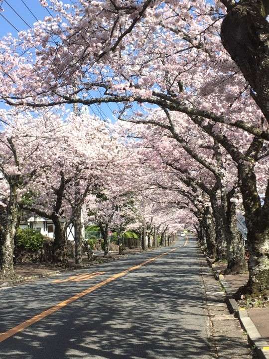 �ό������E�ɓ�����������