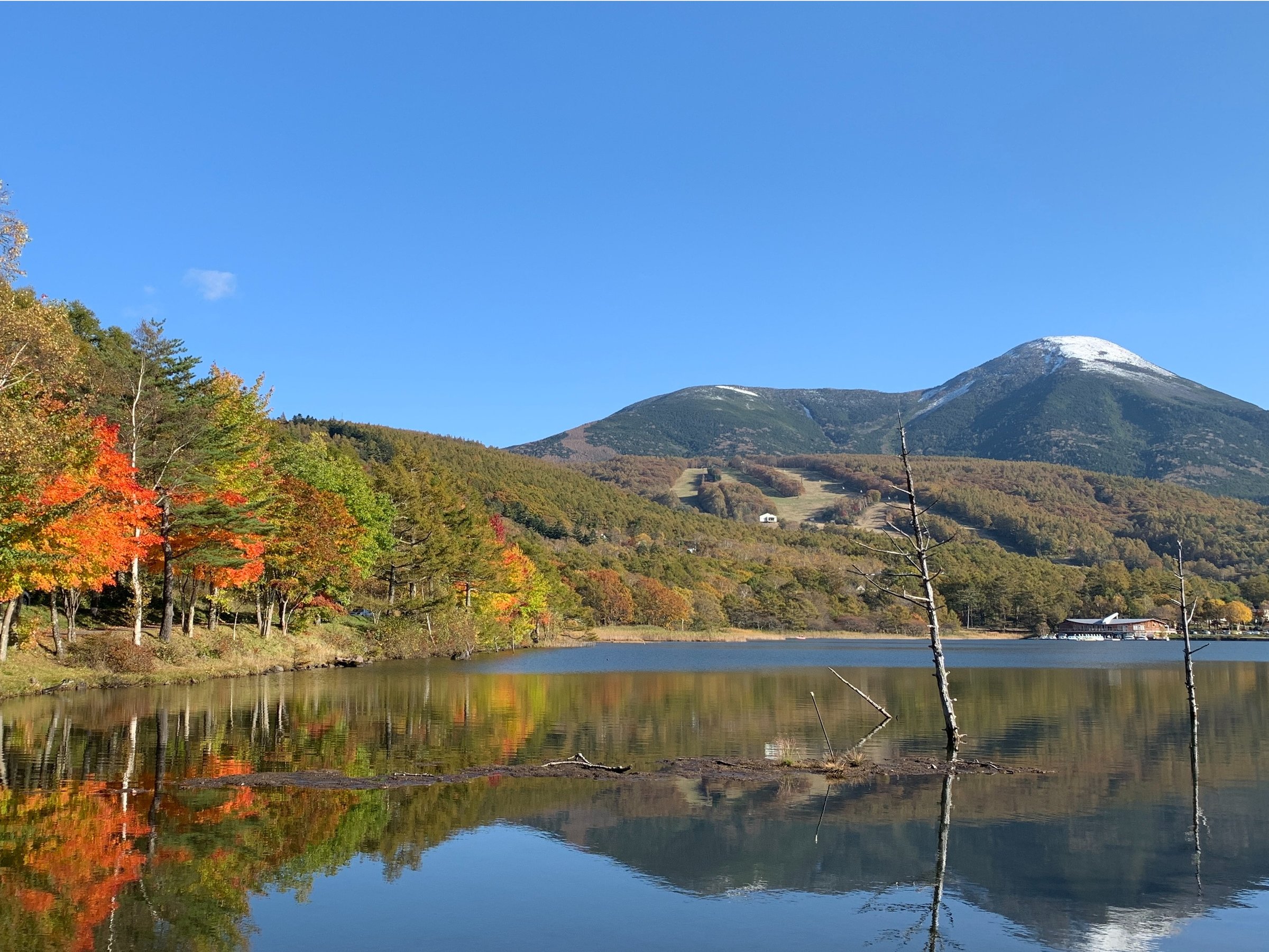 ���_�΂̗l�q