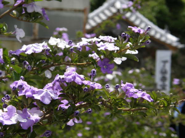 厛̃AJWX~