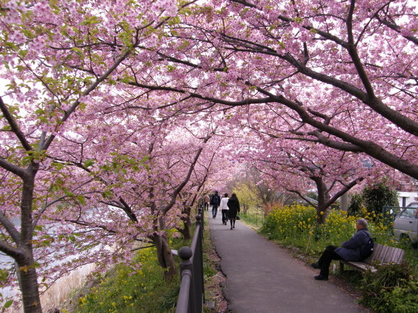 �͒Í��܂�